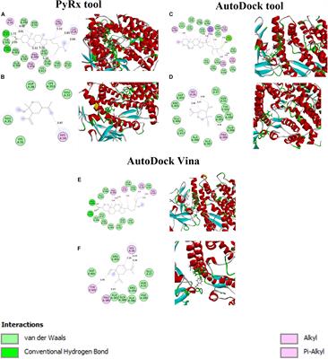 In silico Screening of Natural Phytocompounds Towards Identification of Potential Lead Compounds to Treat COVID-19